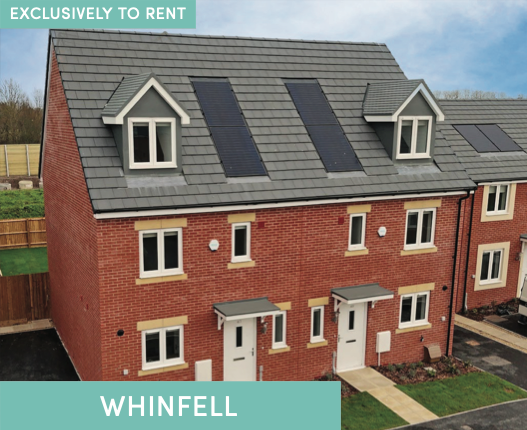 Westminster Walk - Image 3