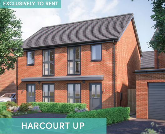 Pleasley View