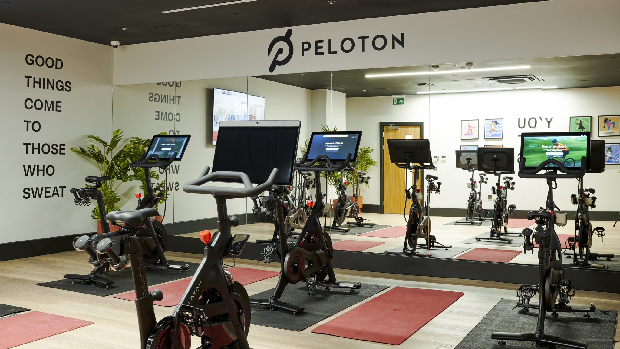 Wellness Studio