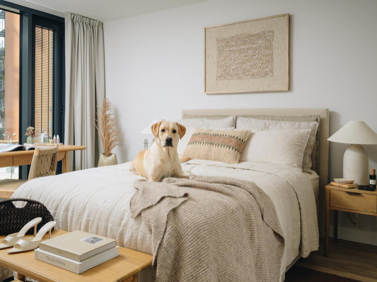 1 Bedroom Apartment - Unit 1 - Image 1